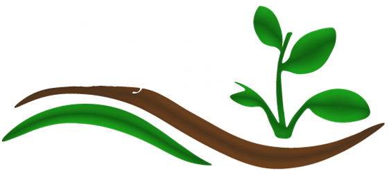 D-Thomas-Logo-White